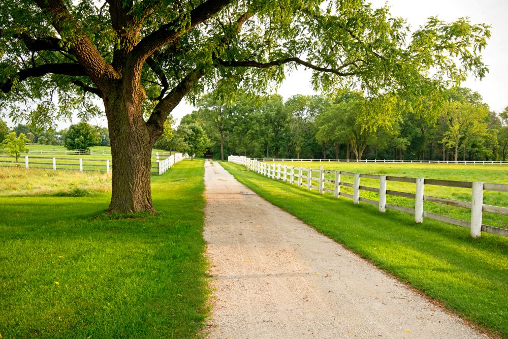 property with fence